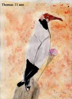 La mouette et le cerf-volant