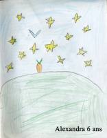 Le miroir aux étoiles