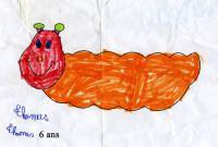 Les chenilles processionnaires