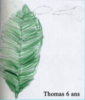 Les feuilles des arbres ne tombent pas toutes à terre