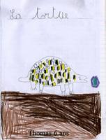 Les tortues englouties