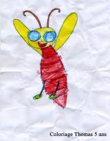 Papouette la libellule