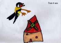 Picwik l'oiseau rêveur