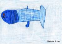Mer