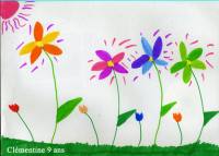 Plantes & Fleurs
